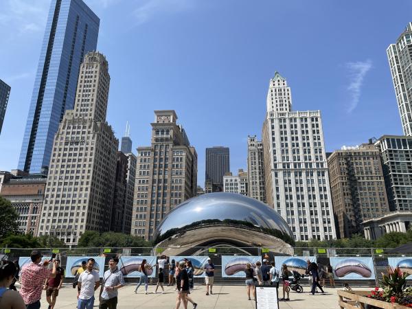 The Bean