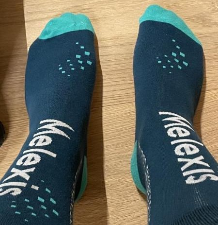 Melexis Socks